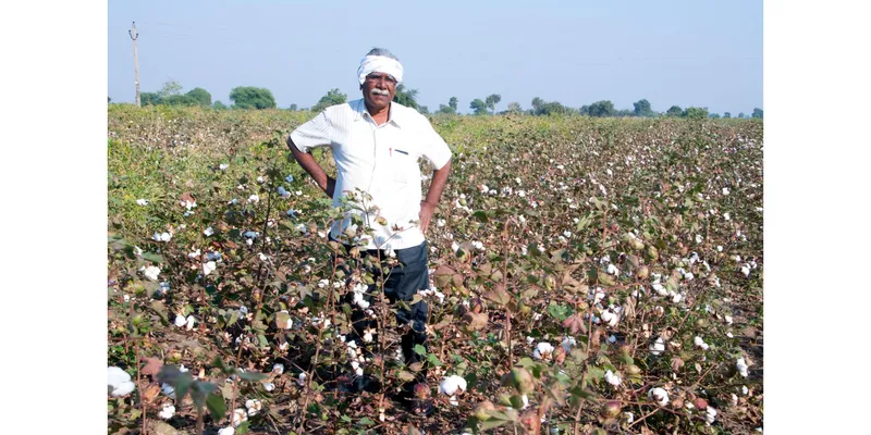 AIKS Opposes Duty-Free Cotton Imports, Says Move Could Impact Small Farmers